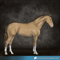 Horse Color:Classic Cream Champagne