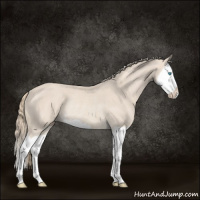 Horse Color:Smoky Creme Splash Rabicano