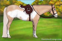 Horse Color:Silver Sable Champagne Frame Rabicano 