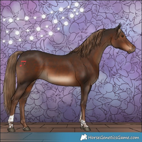 Horse Color:Liver Chestnut Tobiano 