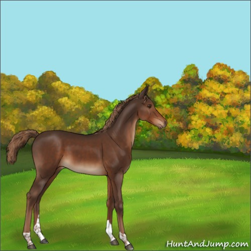 Horse Color:Liver Chestnut Tobiano 