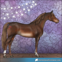 Horse Color:Liver Chestnut Tobiano 