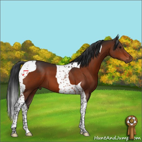 Horse Color:Unknown 