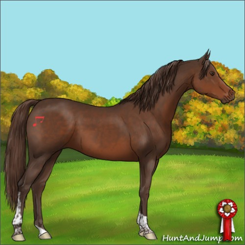 Horse Color:Unknown 