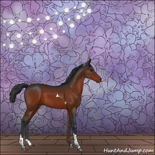 Horse Color:Brown Tobiano 