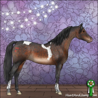 Horse Color:Brown Tobiano Varnish 