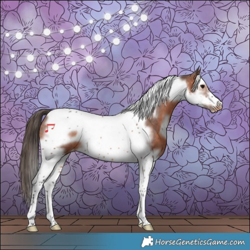 Horse Color:White Spotted Brown Splash Tobiano Frame Appaloosa Rabicano 