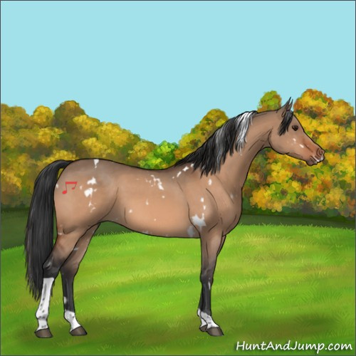 Horse Color:White Spotted Brown Dun Tobiano 