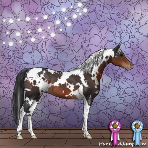 Horse Color:White Spotted Brown Tobiano Appaloosa Rabicano 