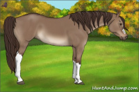 Horse Color:Liver Red Dun 