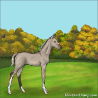 Horse Color:Liver Red Dun Mushroom 