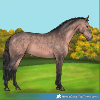 Horse Color:Platinum Bay 