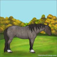 Horse Color:Liver Red Roan 