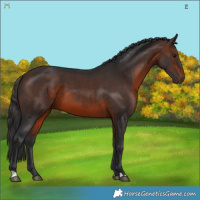 Horse Color:Brown 