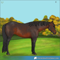 Horse Color:Brown 