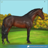 Horse Color:Brown 