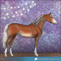 Horse Color:Silver Bay 