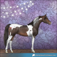 Horse Color:Brown Tobiano Varnish 