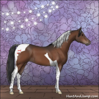 Horse Color:Bay Tobiano 