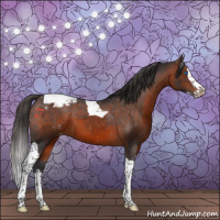 Horse Color:Brown Splash Tobiano Varnish 