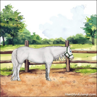 Horse Color:Platinum White Spotted Cremello Dun Splash Rabicano