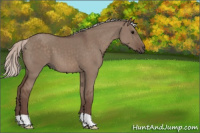 Horse Color:Silver Grullo 