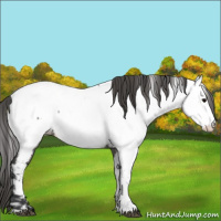 Horse Color:Grullo Near Fewspot 