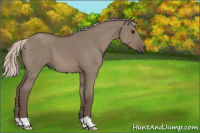 Horse Color:Silver Grullo 