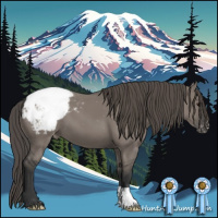Horse Color:Grullo Appaloosa 