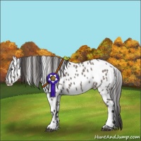 Horse Color:Grullo Appaloosa