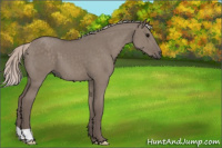 Horse Color:Silver Grullo 