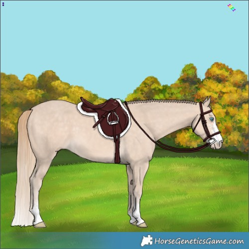 Horse Color:Perlino Sabino