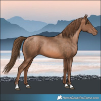 Horse Color:Brown Pearl Varnish 