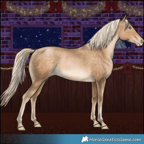 Horse Color:Chocolate Palomino Pearl
