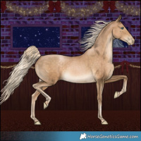 Horse Color:Chocolate Palomino Pearl