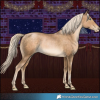 Horse Color:Chocolate Palomino Pearl