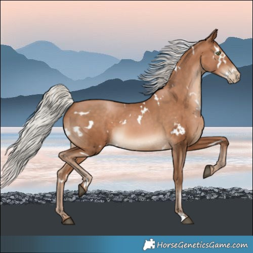 Horse Color:White Spotted Silver Brown Pearl 