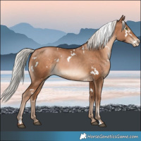 Horse Color:White Spotted Silver Brown Pearl 
