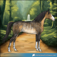 Horse Color:Buckskin Rabicano 