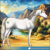 Horse Color:Perlino Roan Splash 