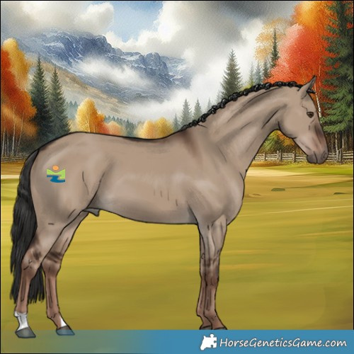 Horse Color:Liver Red Dun 
