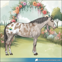 Horse Color:Liver Red Dun Appaloosa Brindle 