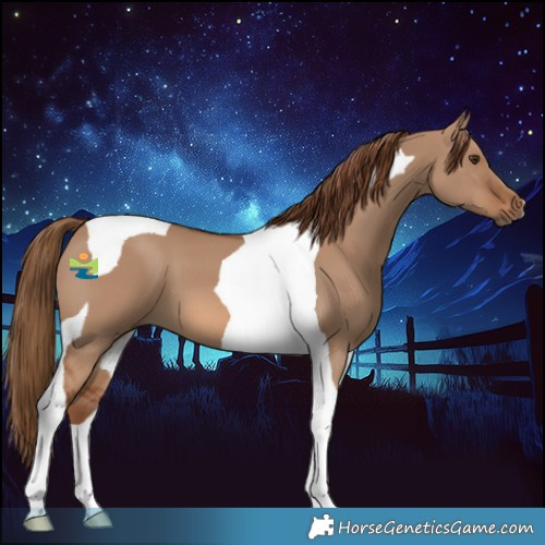 Horse Color:Red Dun Tobiano 