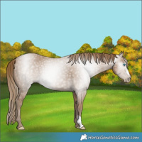 Horse Color:Gray Smoky Creme 