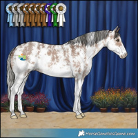 Horse Color:Liver Red Dun Mushroom Sabino 