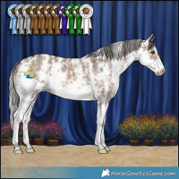 Horse Color:Liver Red Dun Mushroom Sabino 