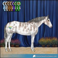 Horse Color:Liver Red Dun Mushroom Sabino 