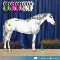 Horse Color:Liver Chestnut Mushroom Sabino Frame