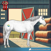 Horse Color:White Spotted Chocolate Palomino Dun Sabino Splash Frame Rabicano