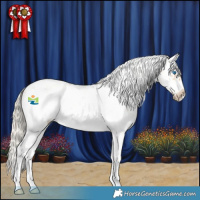 Horse Color:White Spotted Chocolate Palomino Dun Sabino Splash Frame Rabicano 